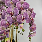 Luxury Real Touch Purple Striped Orchid in Shiny Gold Porcelain Planter