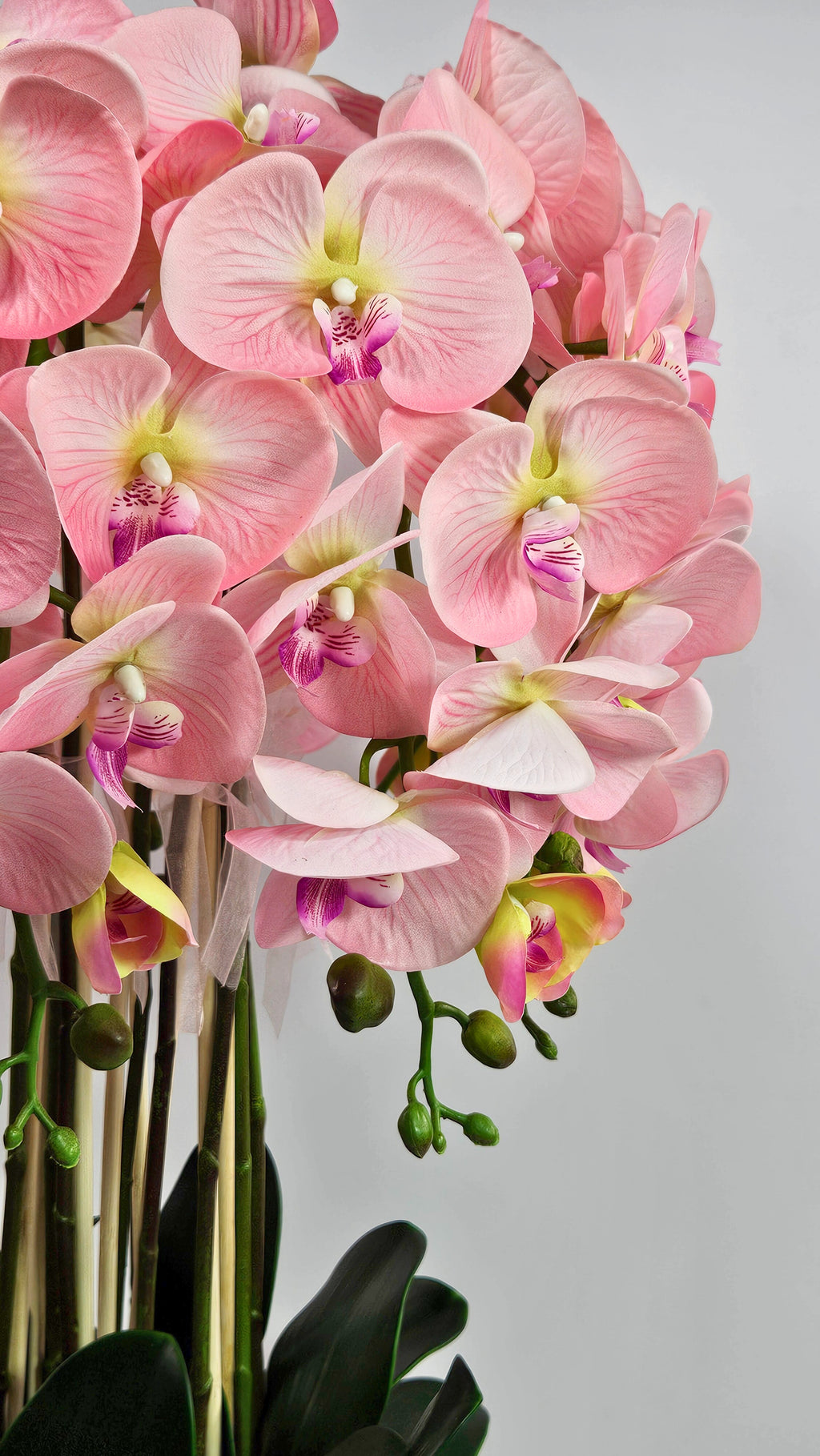 Luxury Real Touch Light Pink Orchid in Graphite Ceramic Planter