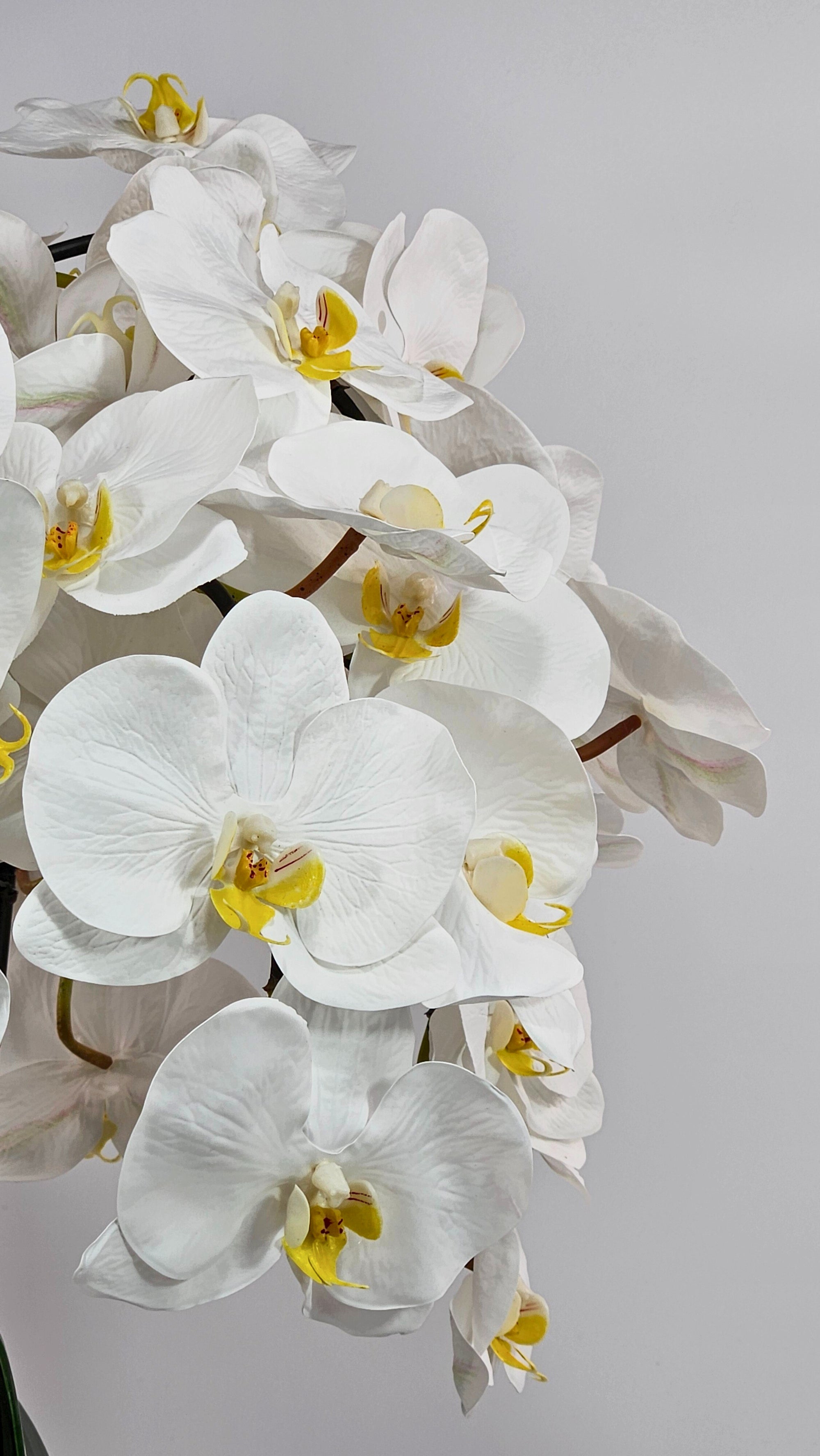 Luxury Full Bloom Highly Realistic White Orchid in Textured Ceramic Vase
