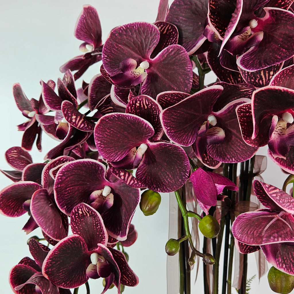 Luxury Real Touch Burgundy Orchid in Maroon Ceramic Planter
