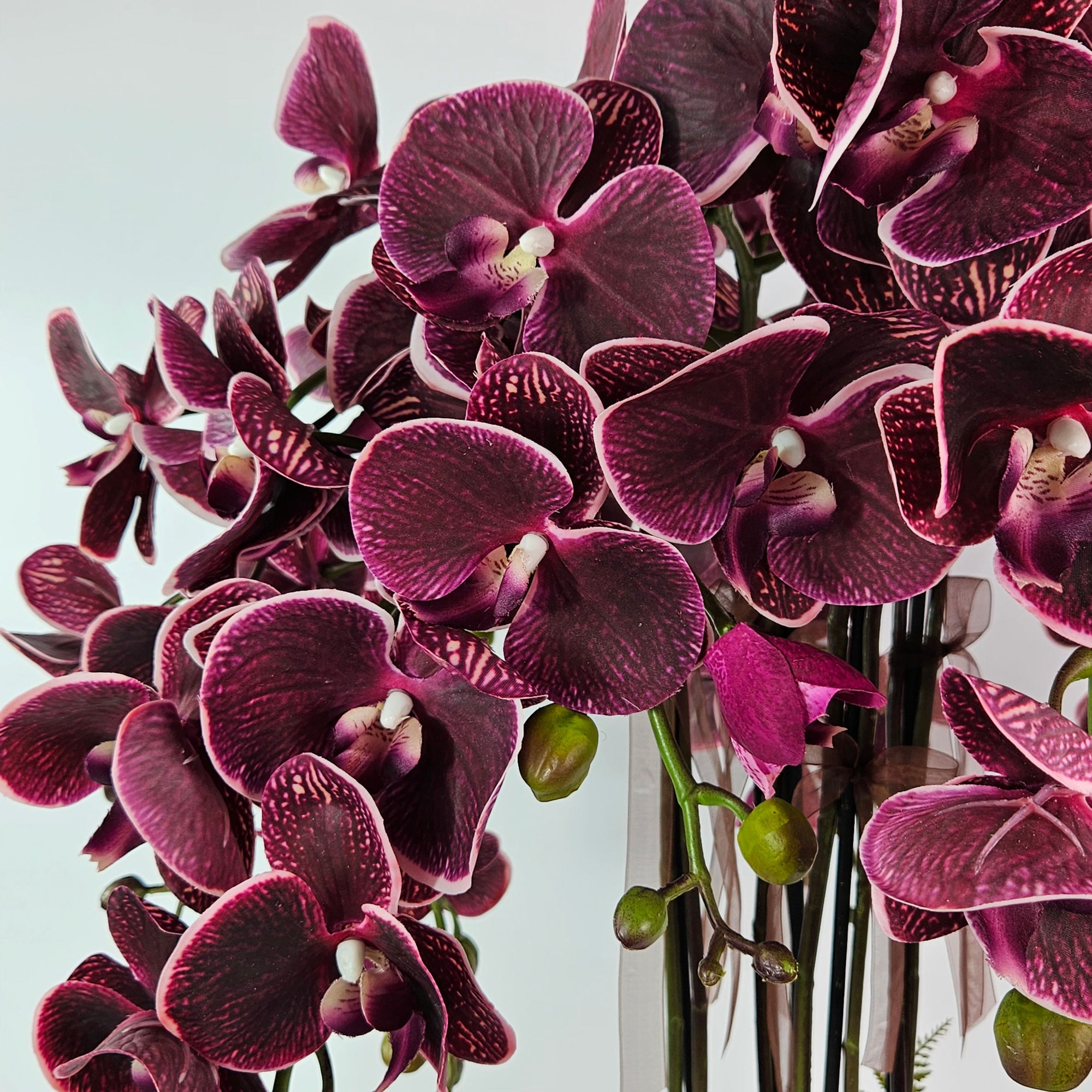 Luxury Real Touch Burgundy Orchid in Maroon Ceramic Planter