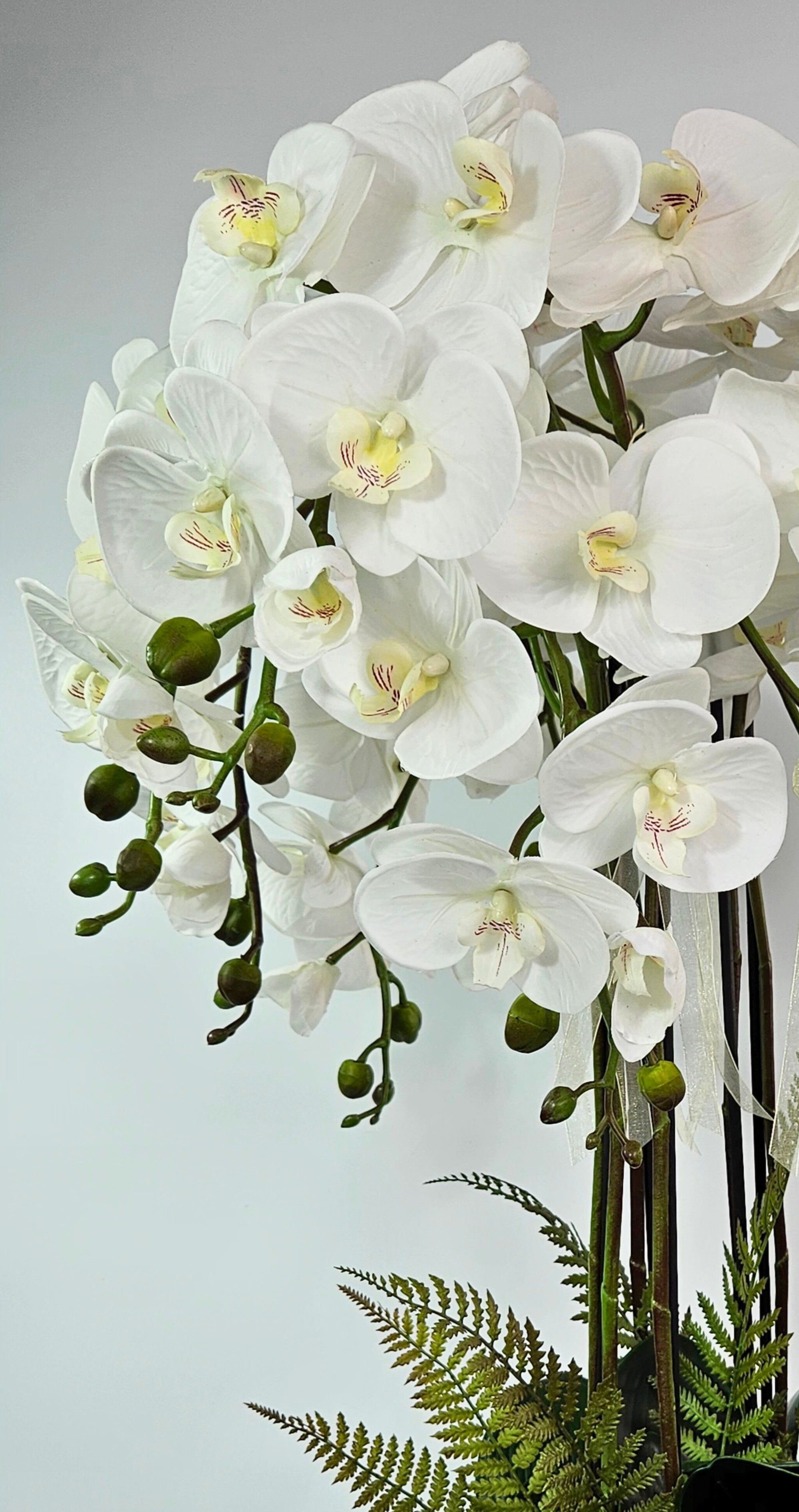Luxury Real Touch Pure White Orchid in Graphite Ceramic Planter