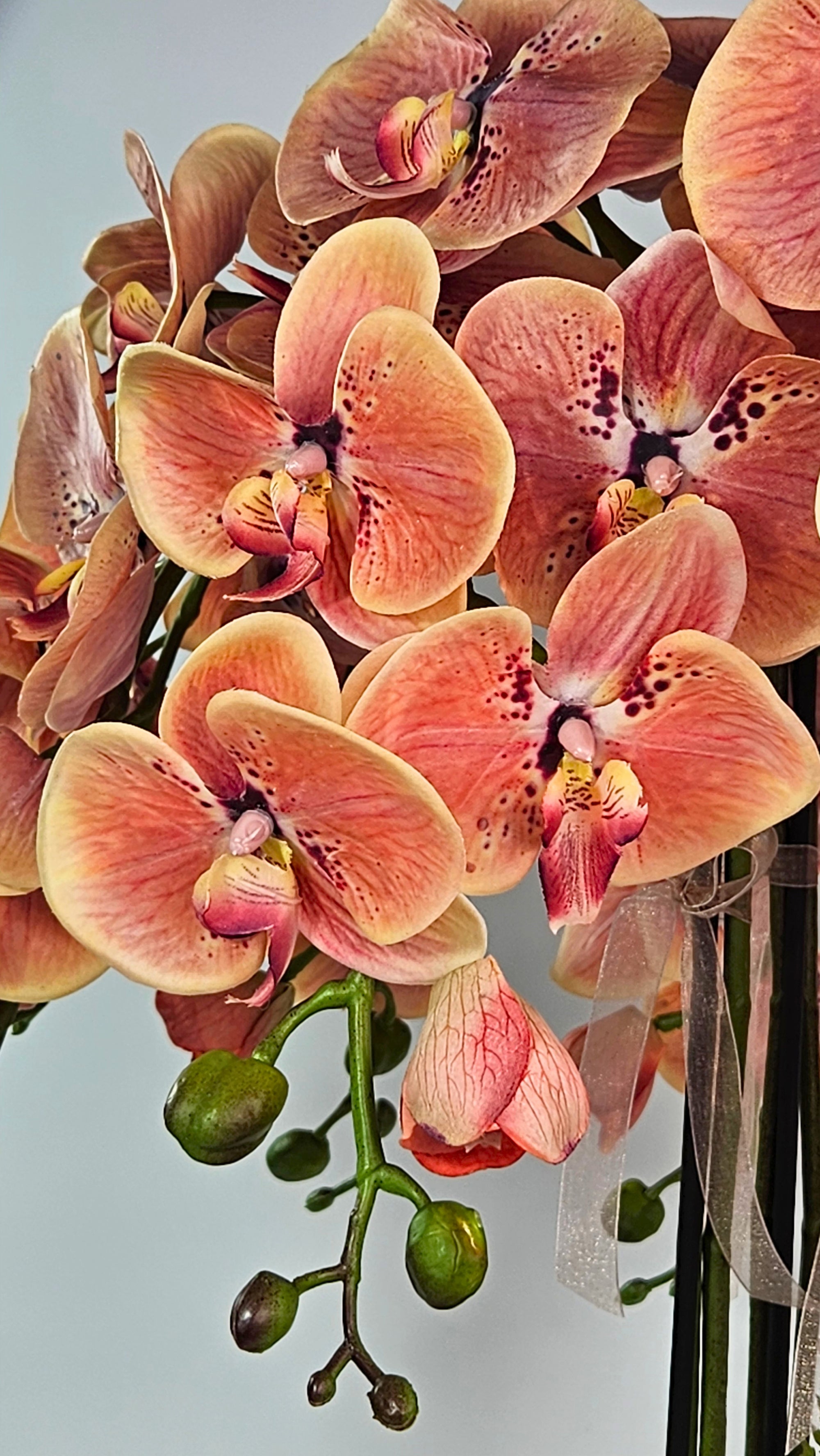Luxury Real Touch Burnt Orange Orchid in Antique Golden Brown Ceramic Planter