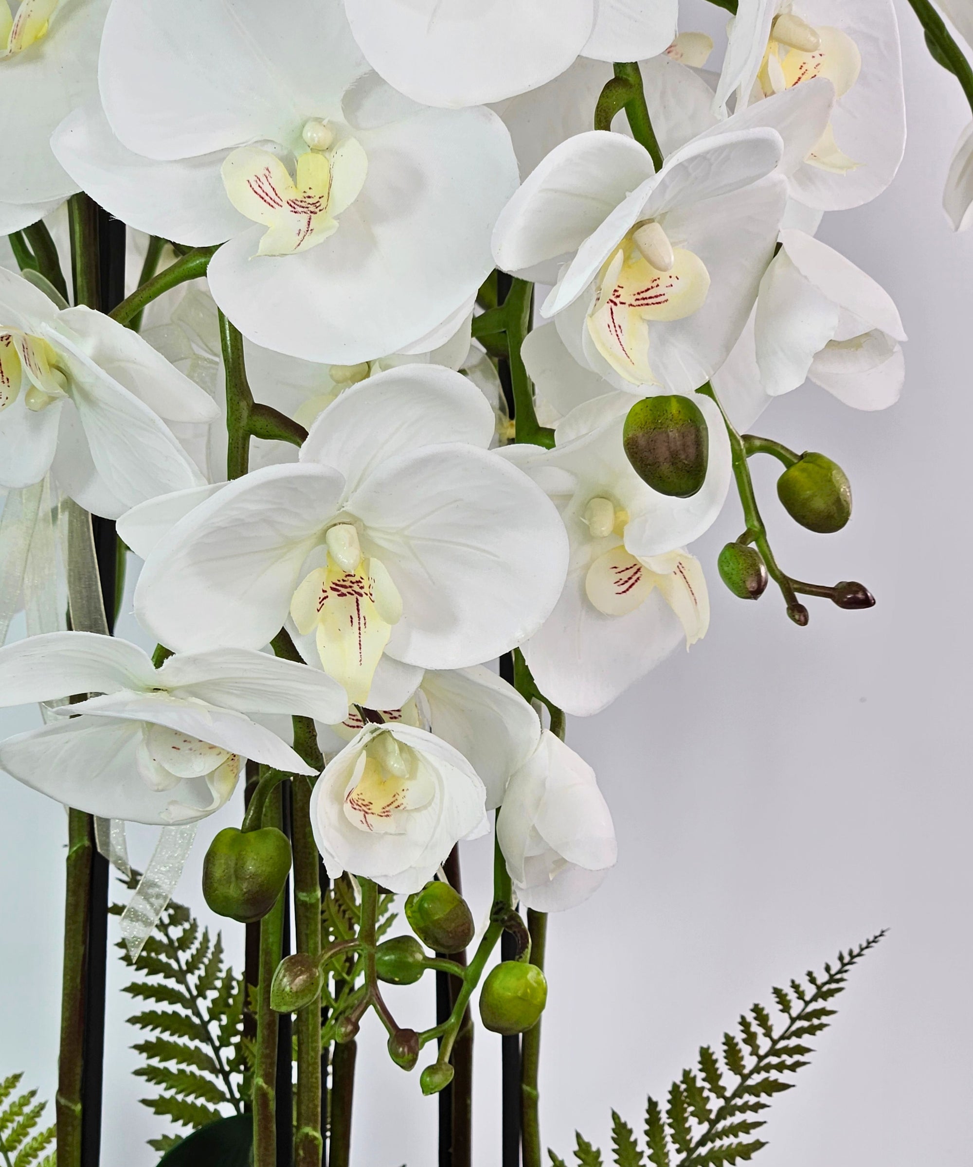 Luxury Real Touch Pure White Orchid in Graphite Ceramic Planter