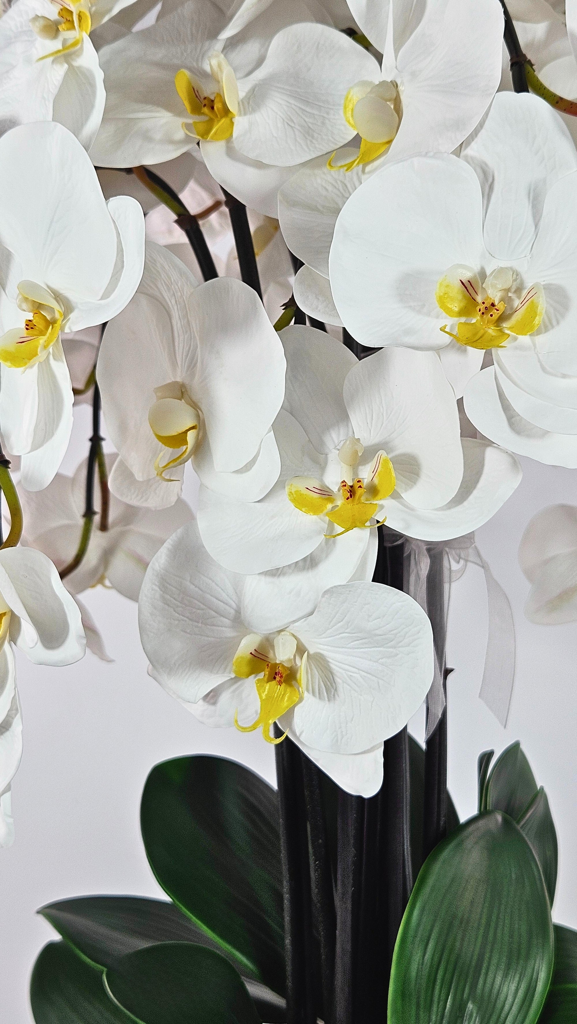 Luxury Full Bloom Highly Realistic White Orchid in Silver Metal Trophy Vase