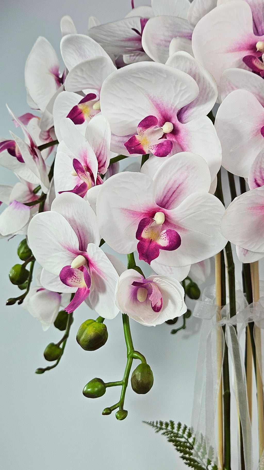Luxury Real Touch White and Pink Orchid in Opal Glass Dish Planter