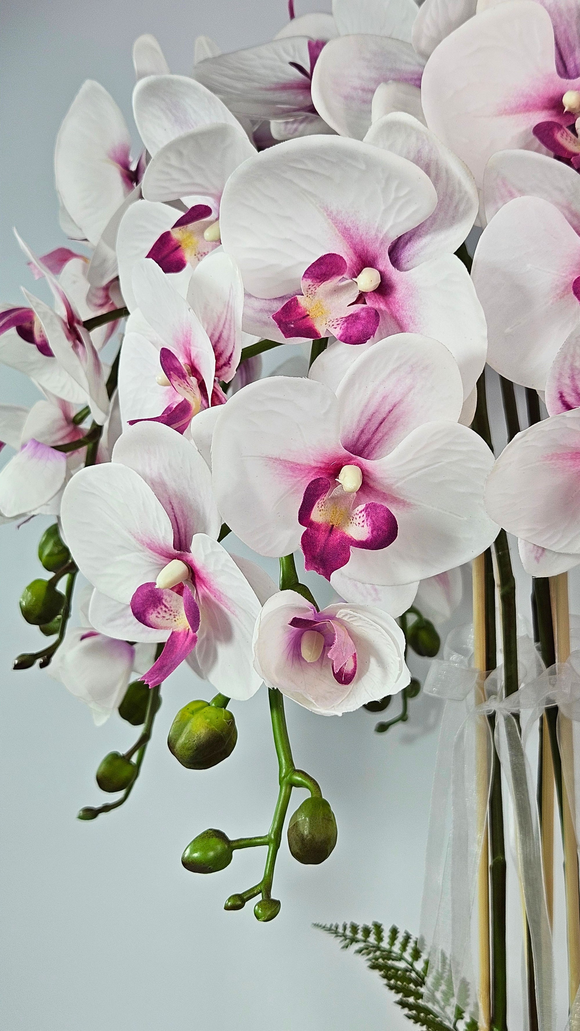 Luxury Real Touch White and Pink Orchid in Opal Glass Dish Planter