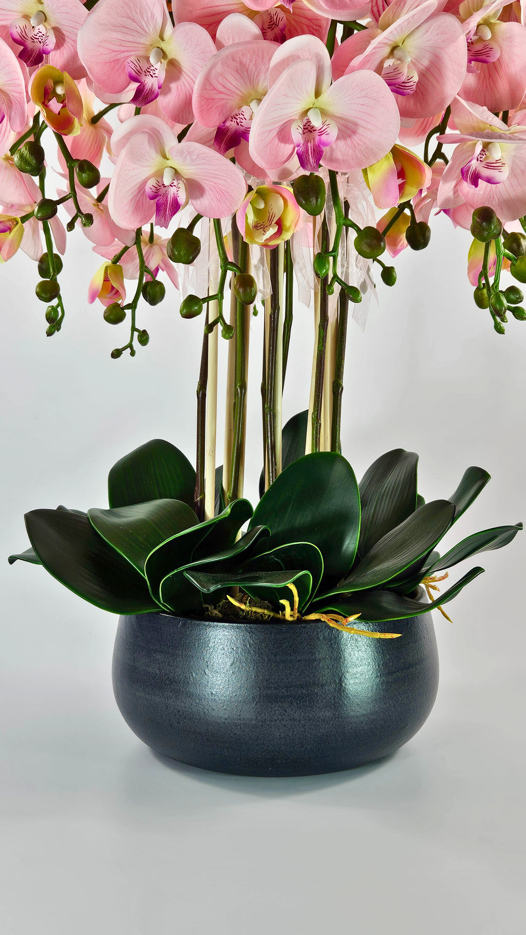 Luxury Real Touch Light Pink Orchid in Graphite Ceramic Planter