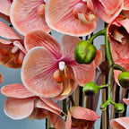 Luxury Real Touch Coral Orchid in Pine Green Ceramic Planter