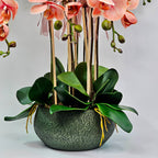 Luxury Real Touch Coral Orchid in Pine Green Ceramic Planter