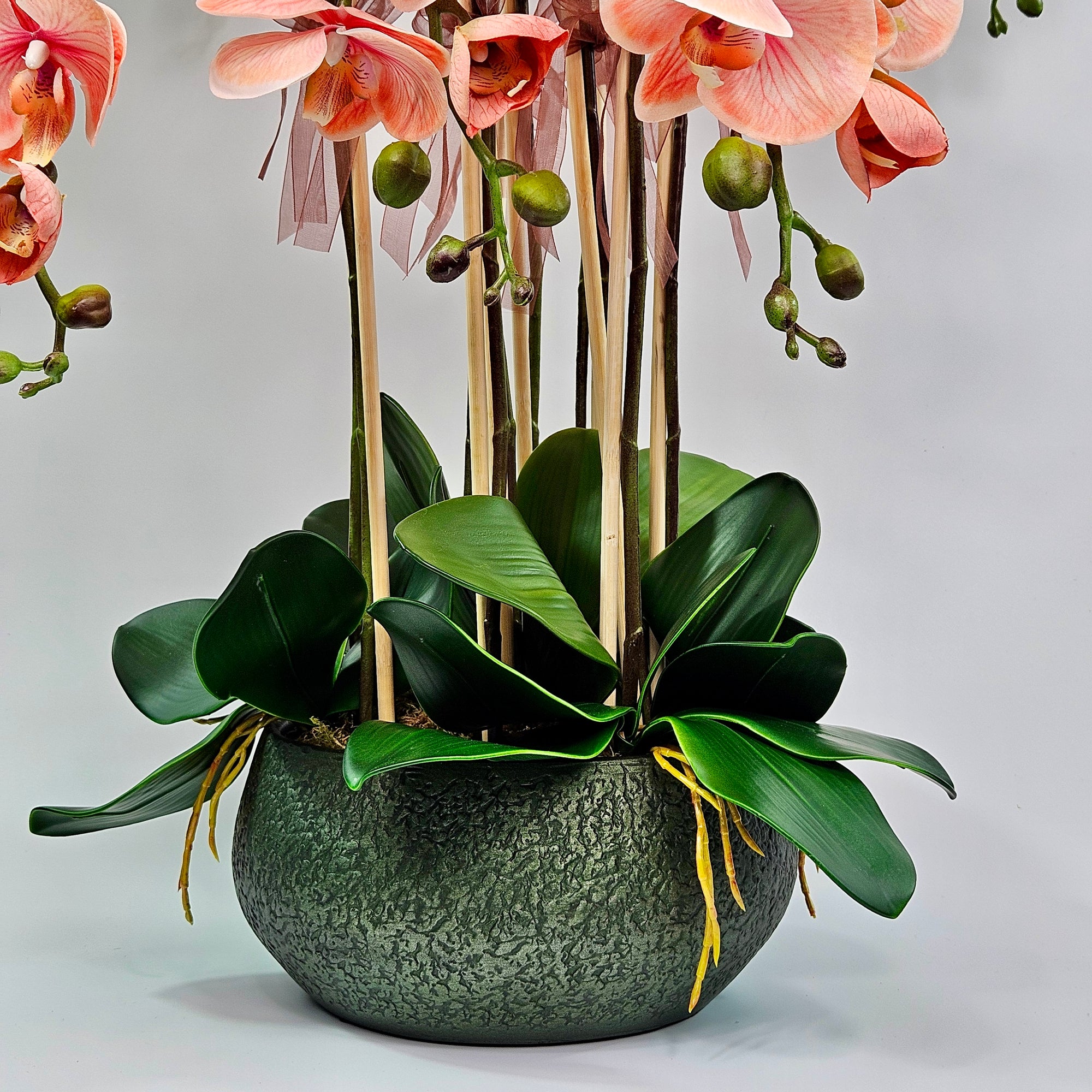 Luxury Real Touch Coral Orchid in Pine Green Ceramic Planter