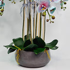 Luxury Real Touch Light Blue Orchid in Grey Ceramic Planter