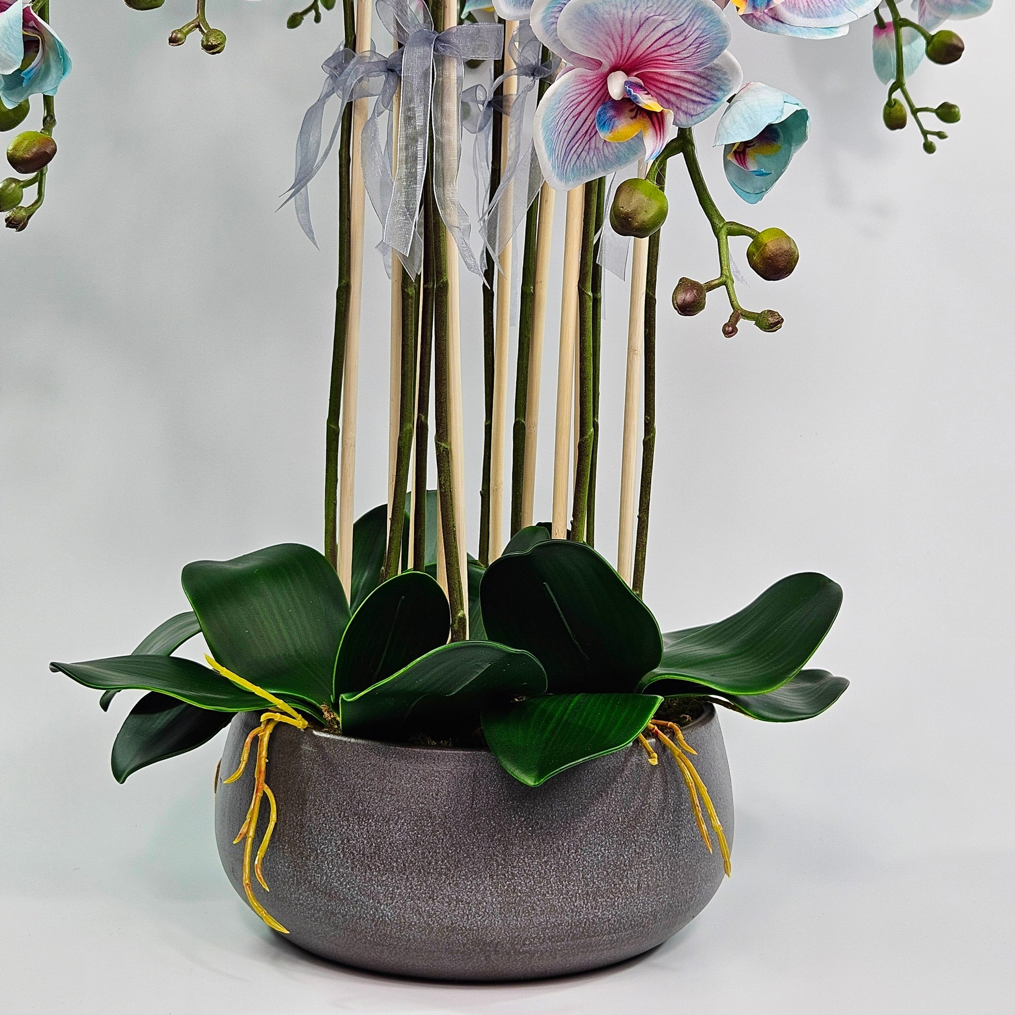Luxury Real Touch Light Blue Orchid in Grey Ceramic Planter