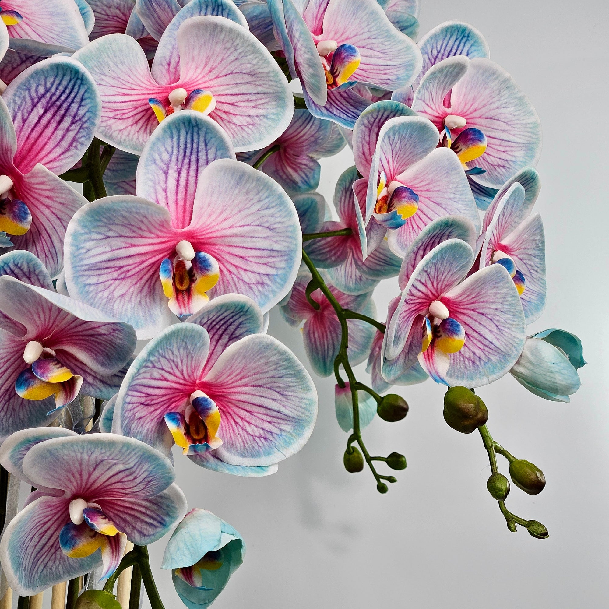 Luxury Real Touch Light Blue Orchid in Grey Ceramic Planter