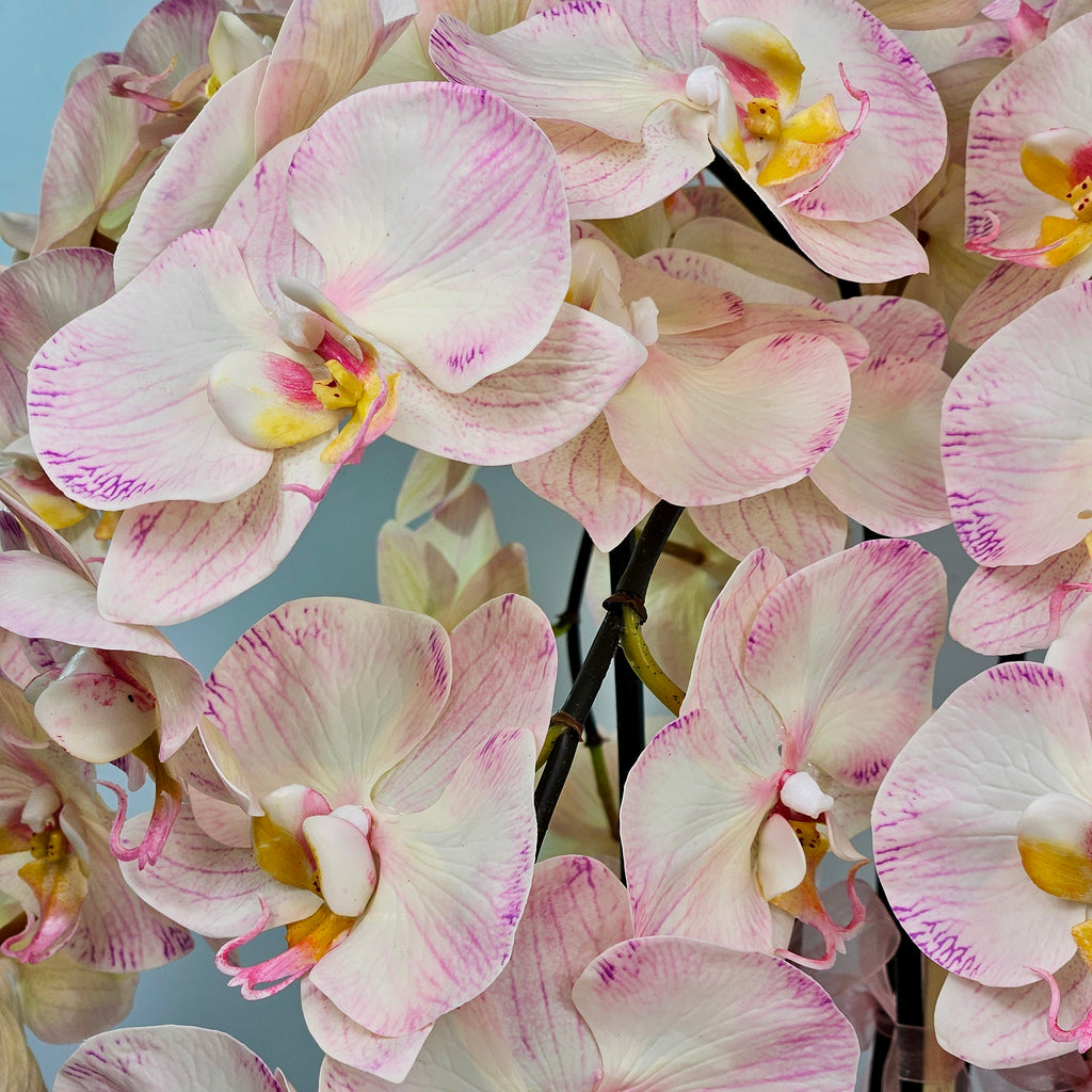 Luxury Full Bloom Highly Realistic Blush Pink Orchid in Metallic Grey Ceramic Planter
