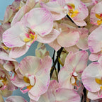 Luxury Full Bloom Highly Realistic Blush Pink Orchid in Metallic Grey Ceramic Planter