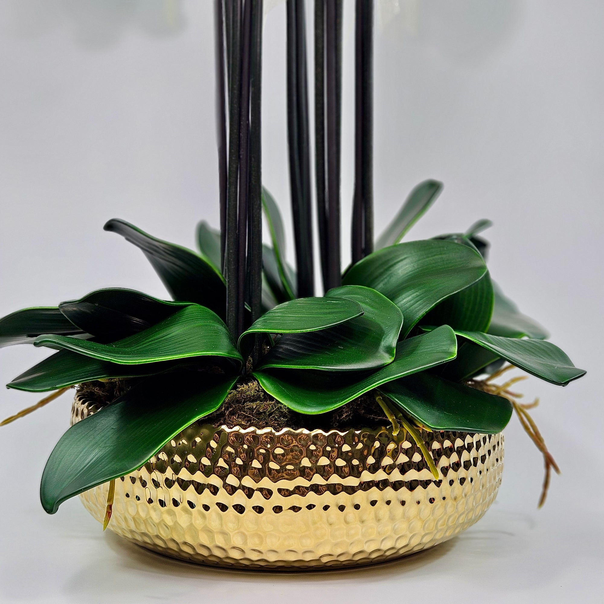 Luxury Full Bloom Highly Realistic White Orchid in Shiny Gold Porcelain Planter