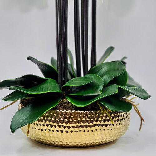 Luxury Full Bloom Highly Realistic White Orchid in Shiny Gold Porcelain Planter