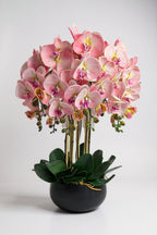 Luxury Real Touch Light Pink Orchid in Graphite Ceramic Planter