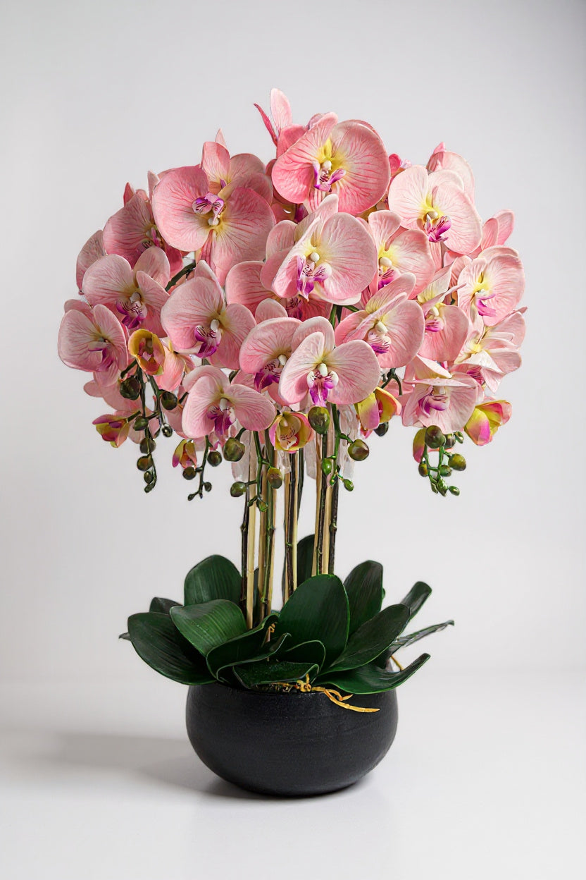 Luxury Real Touch Light Pink Orchid in Graphite Ceramic Planter