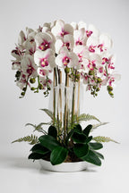 Luxury Real Touch White and Pink Orchid in Opal Glass Dish Planter