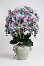 Luxury Real-Touch Light Blue Orchid in Amphora Vase
