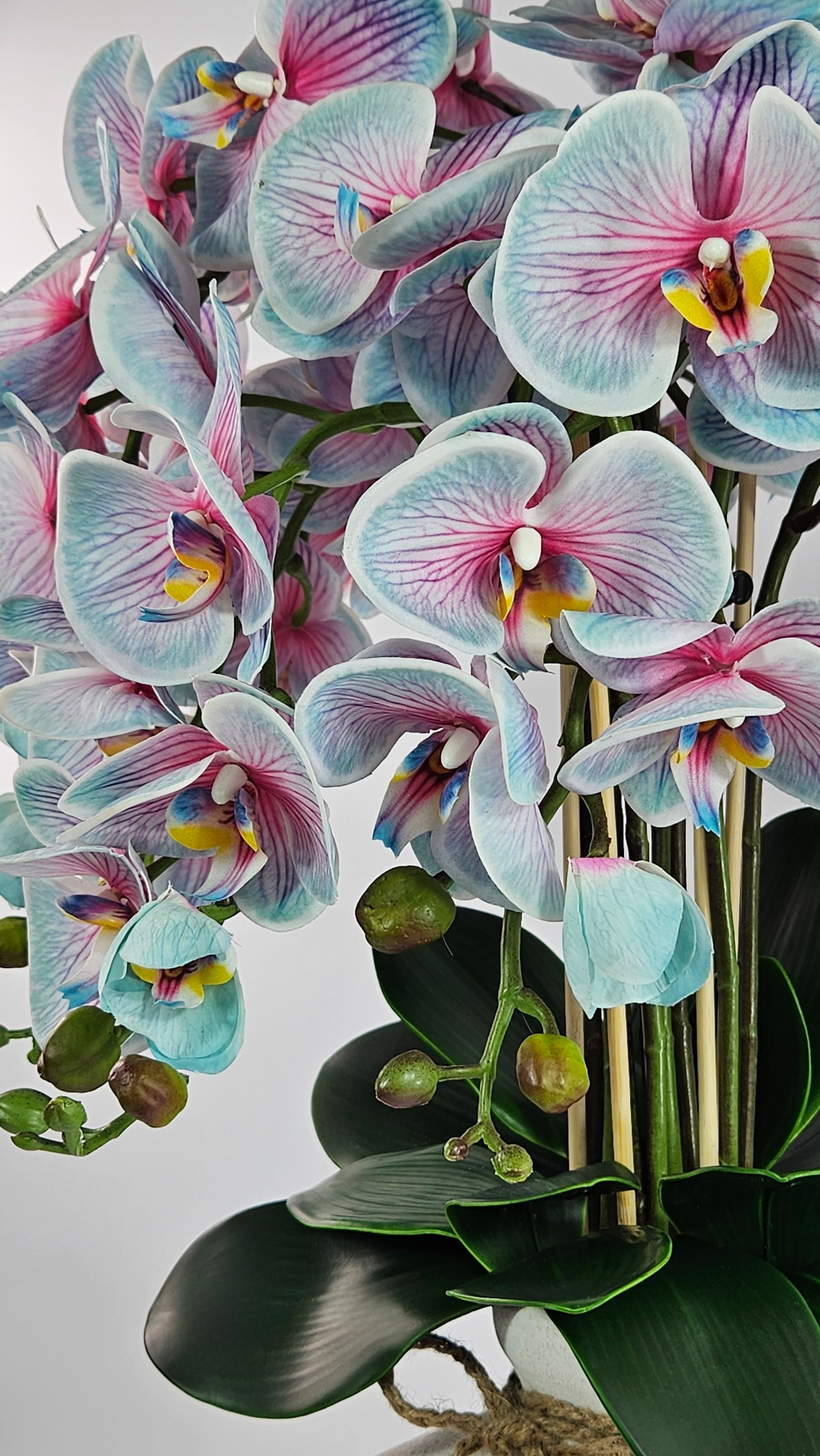 Luxury Real-Touch Light Blue Orchid in Amphora Vase