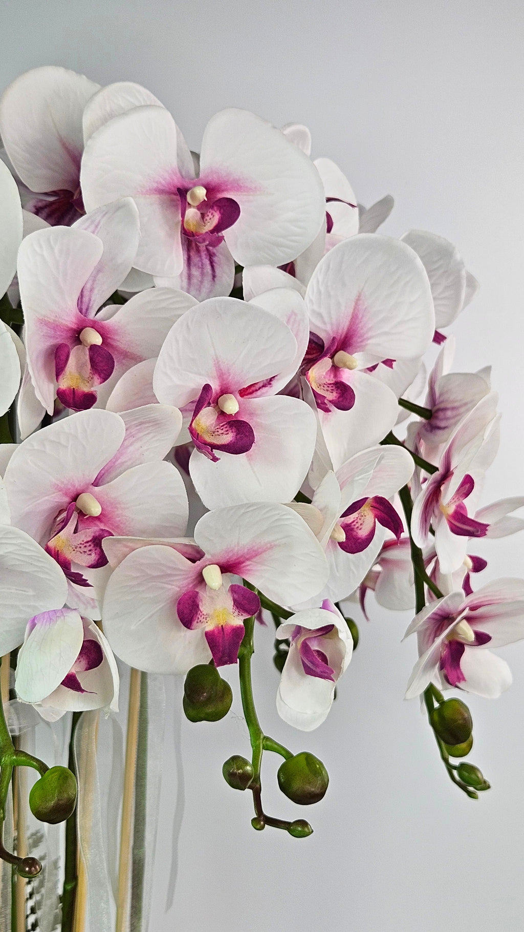 Luxury Real Touch White and Pink Orchid in Opal Glass Dish Planter