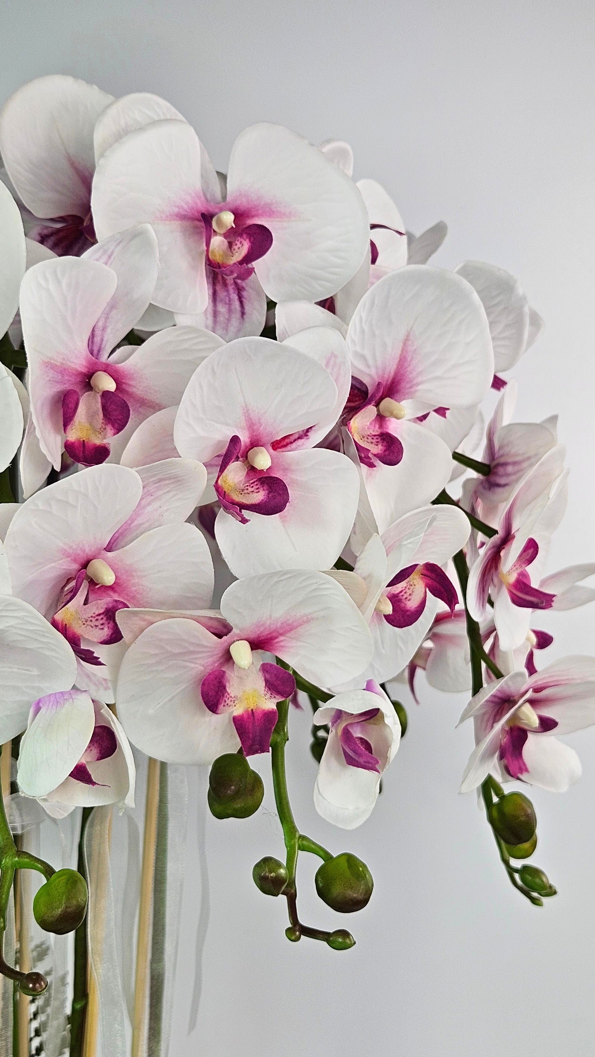 Luxury Real Touch White and Pink Orchid in Opal Glass Dish Planter