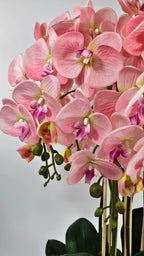 Luxury Real Touch Light Pink Orchid in Graphite Ceramic Planter