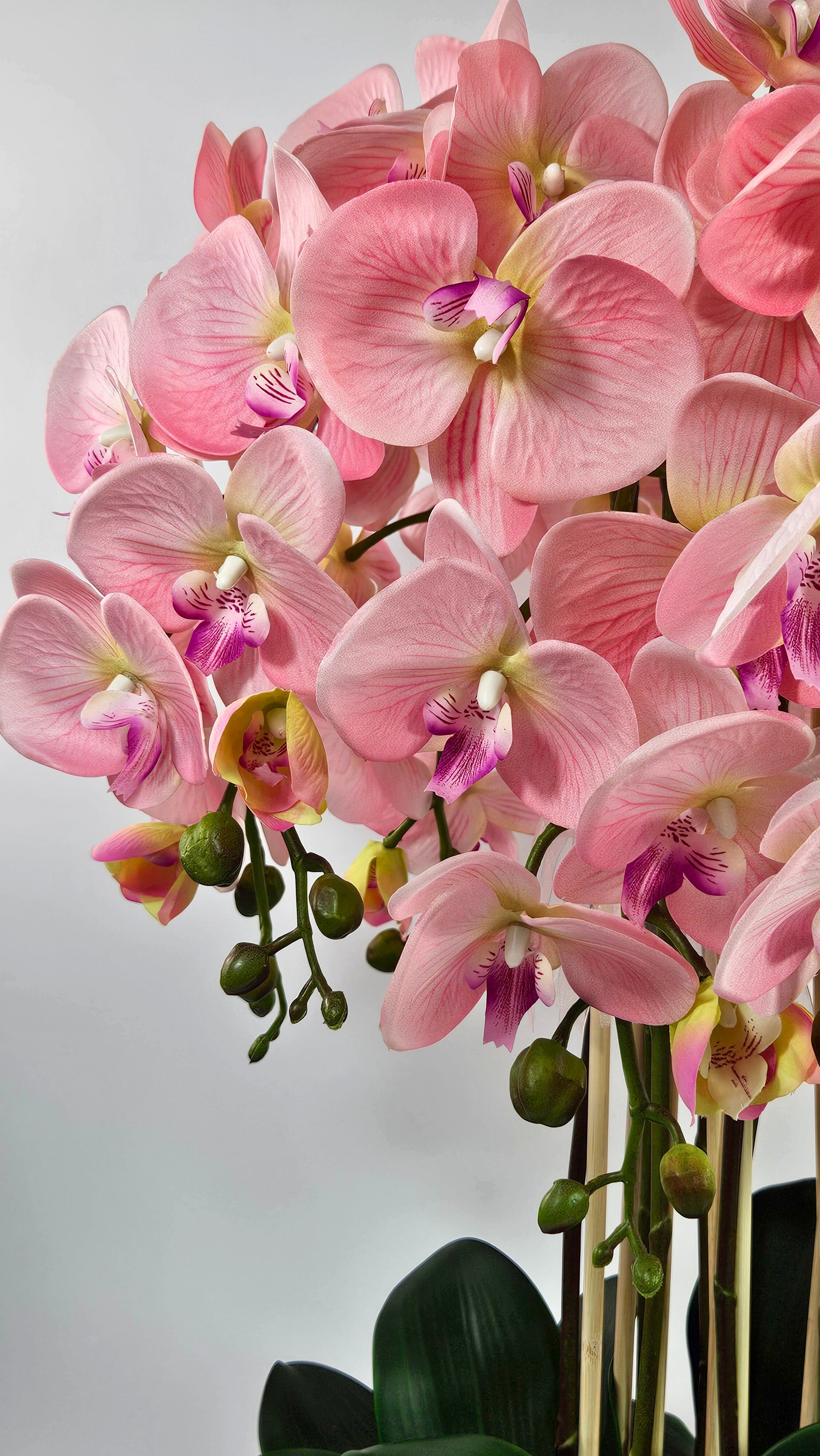 Luxury Real Touch Light Pink Orchid in Graphite Ceramic Planter