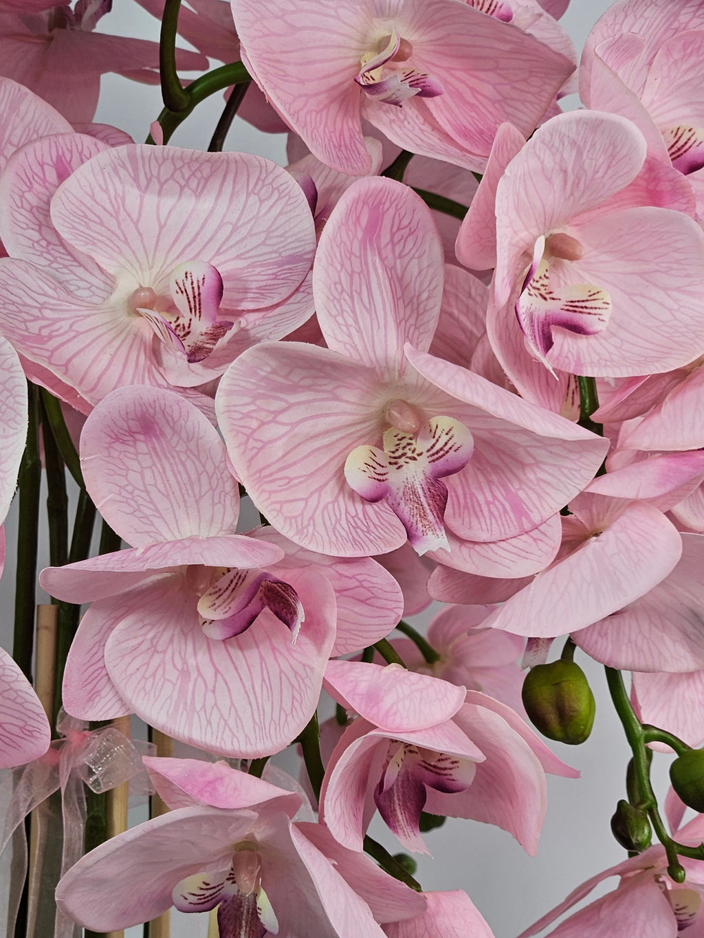 Luxury Real Touch Baby-Pink Orchid in Sand Gold Ceramic Planter