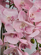 Luxury Real Touch Baby-Pink Orchid in Sand Gold Ceramic Planter