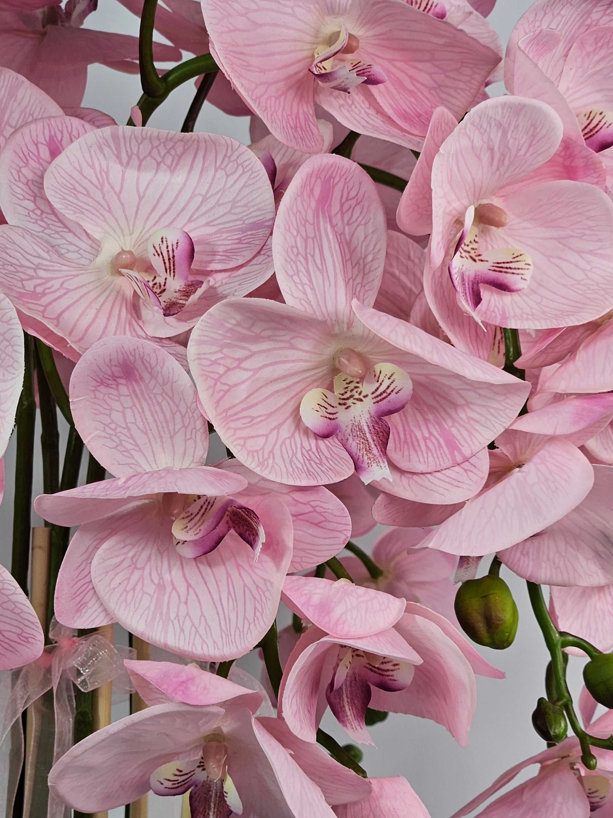 Luxury Real Touch Baby-Pink Orchid in Sand Gold Ceramic Planter