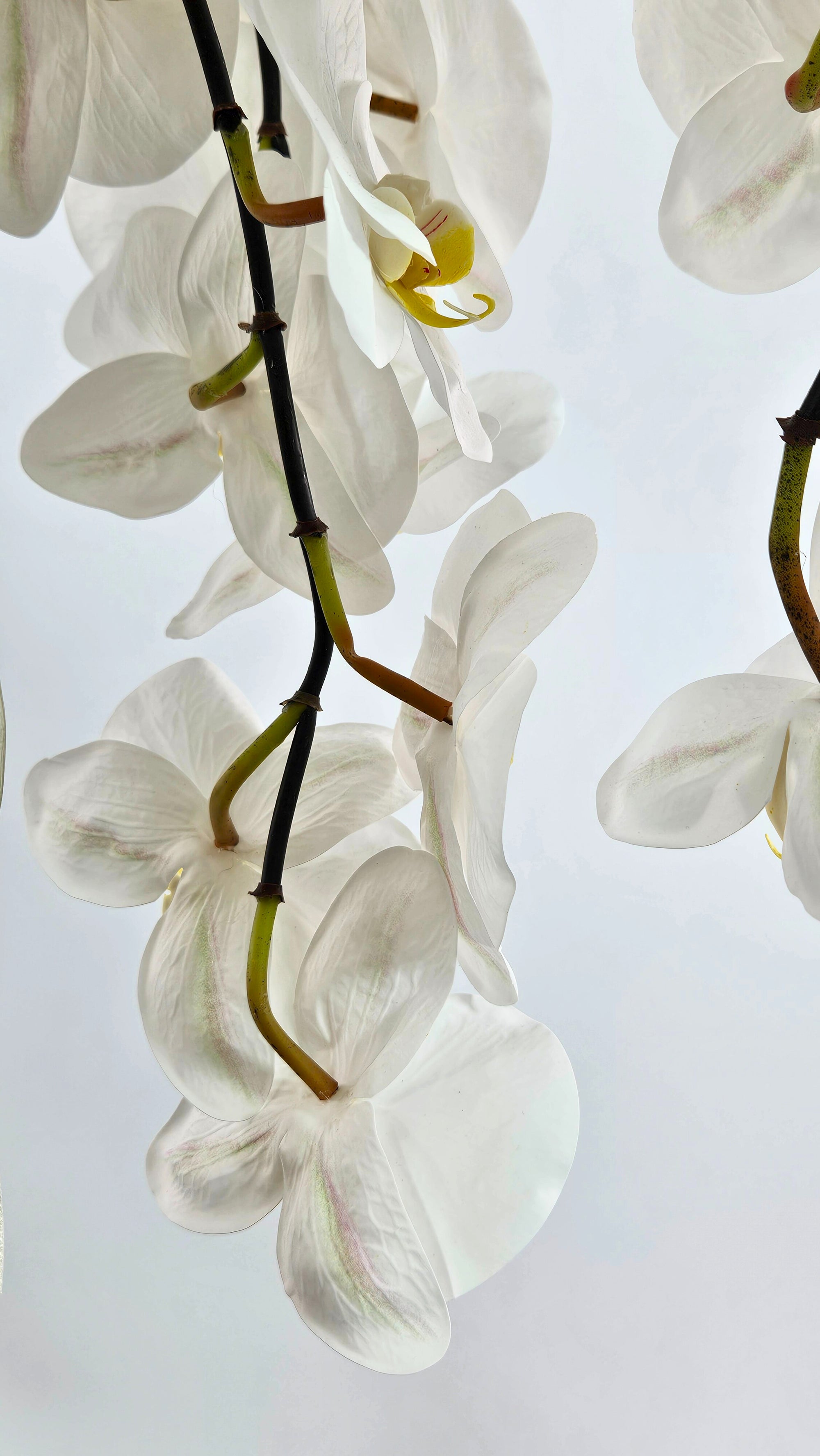 Luxury Full Bloom Highly Realistic White Orchid in Sand Gold Ceramic Planter