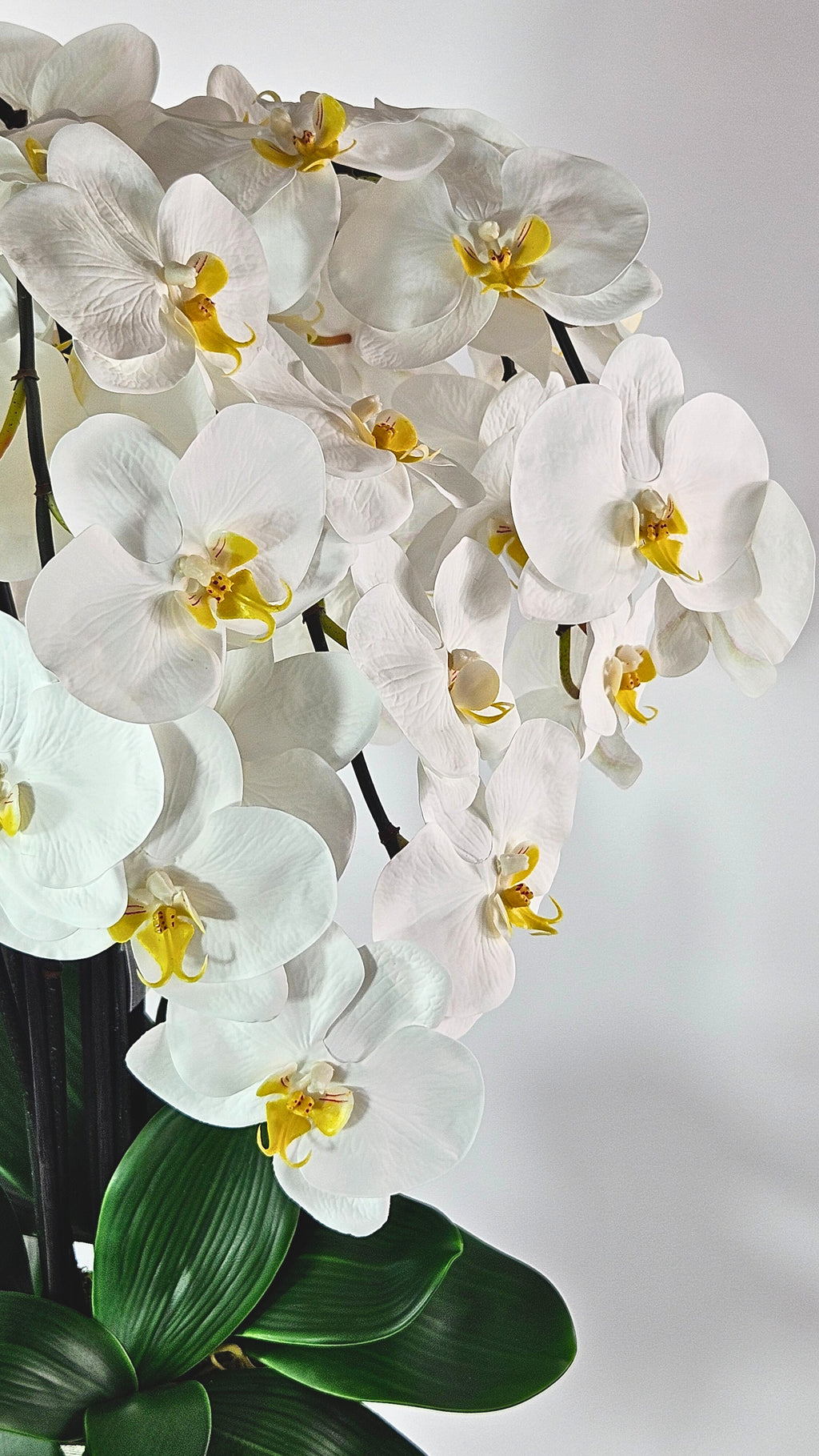 Luxury Full Bloom Highly Realistic White Orchid in Silver Metal Trophy Vase