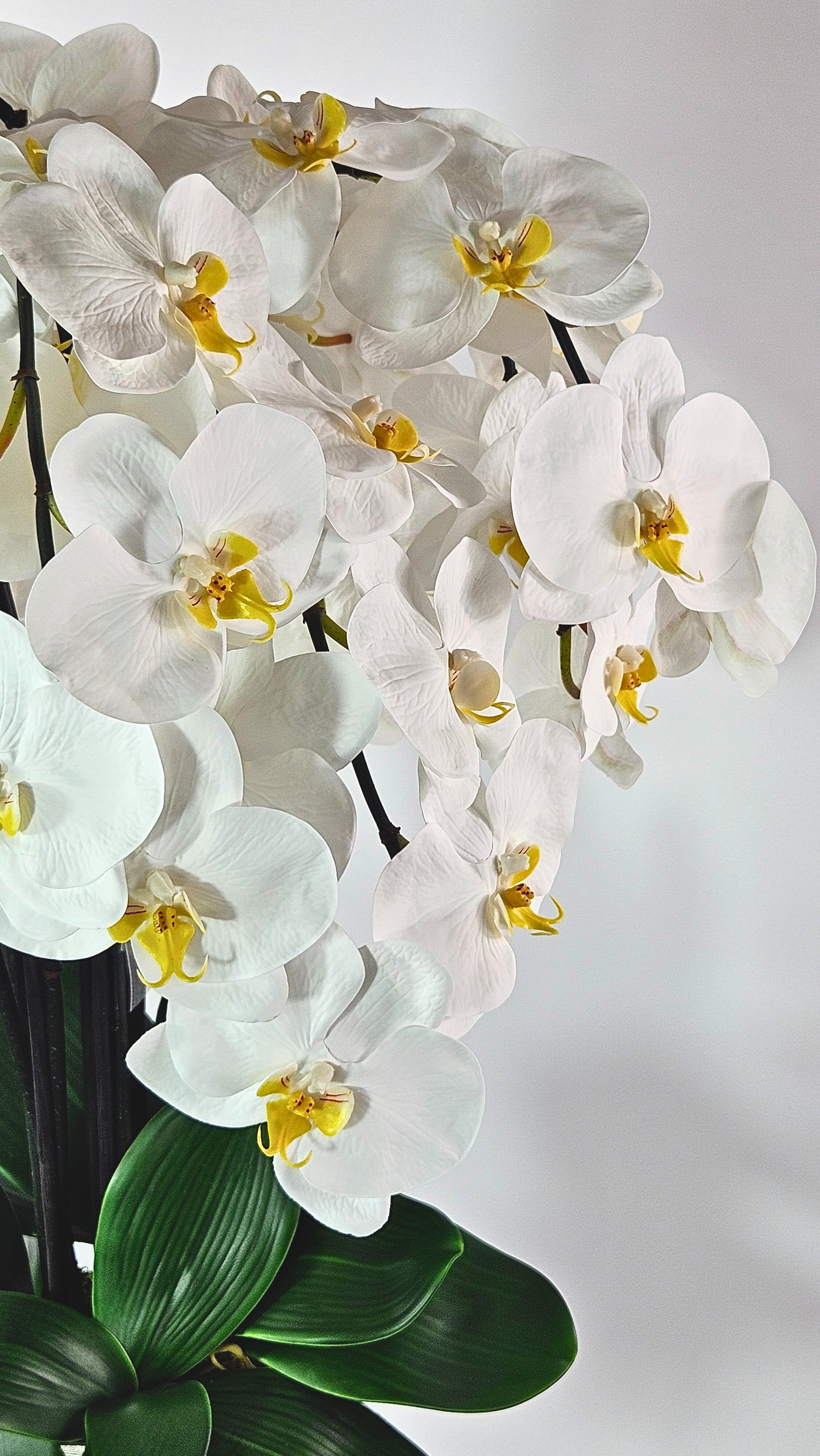 Luxury Full Bloom Highly Realistic White Orchid in Silver Metal Trophy Vase