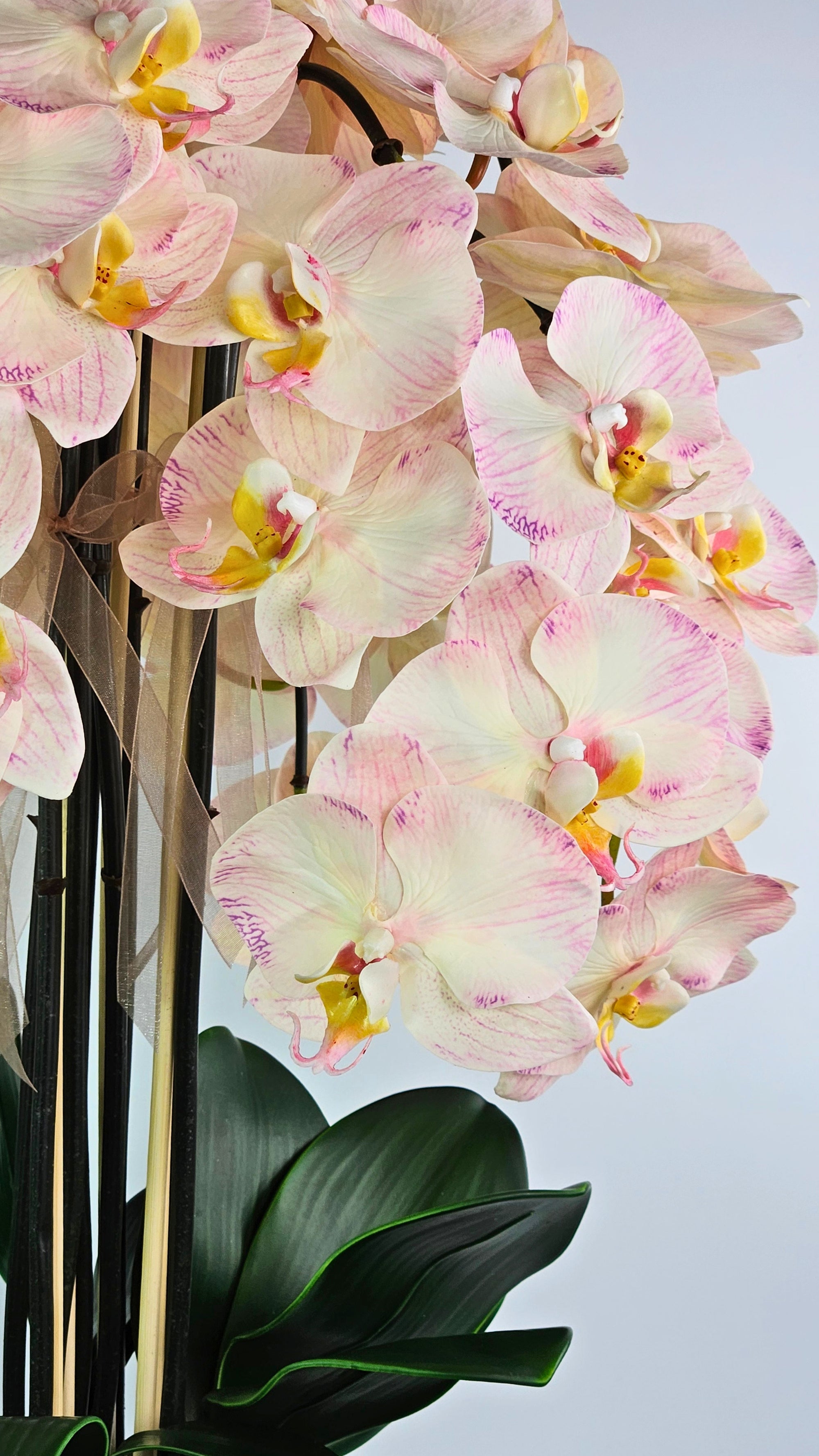 Luxury Full Bloom Highly Realistic Blush Pink Orchid in Bronze Metal Trophy Vase