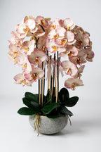 Luxury Full Bloom Highly Realistic Blush Pink Orchid in Metallic Grey Ceramic Planter