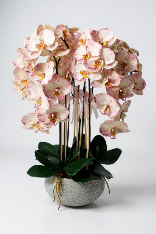 Luxury Full Bloom Highly Realistic Blush Pink Orchid in Metallic Grey Ceramic Planter