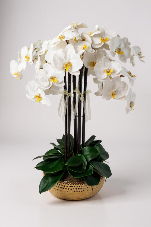 Luxury Full Bloom Highly Realistic White Orchid in Shiny Gold Porcelain Planter